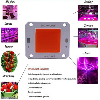 Augstas Jaudas LED Chip 380-840nm Pilna Spektra Augt Gaismas Lampa Pērles Iekštelpu Augu Augšanai 100W DC12V vai DC32V 40X46mm