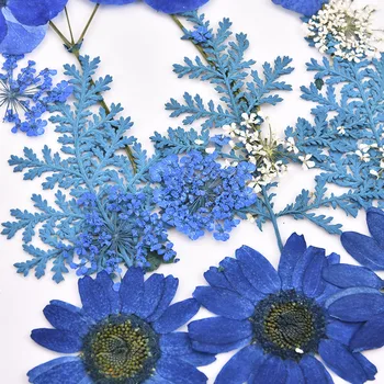Sauso Ziedu Nail Art Uzlīmes Nekustamā Dabas sausie Ziedi UV Sveķu Skaistumu Grims Decal Uz DIY Epoksīda Sveķu Uzpildes Rotaslietu izgatavošana